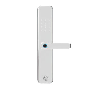 LIONHEAD LONSDALE DIGITAL ENTRANCE LOCK SILVER