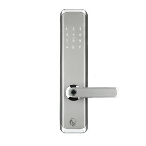 LIONHEAD SEYMOR DIGITAL ENTRANCE LOCK SILVER