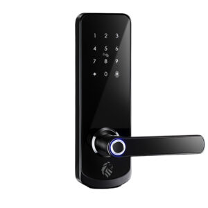 LIONHEAD NICHOLSON DIGITAL ENTRANCE LOCK BLACK