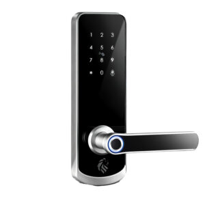 LIONHEAD NICHOLSON DIGITAL ENTRANCE LOCK SILVER