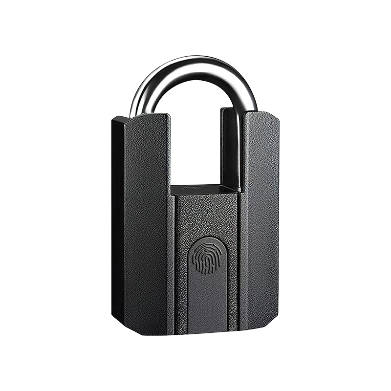 LIONHEAD DIGITAL PADLOCK
