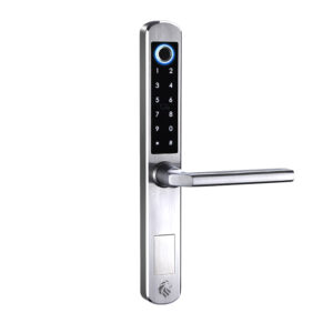 LIONHEAD OXFORD DIGITAL ENTRACE LOCK SILVER