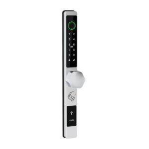 LIONHEAD LYGON HEX DIGITAL ENTRANCE LOCK SILVER