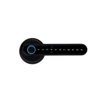 LIONHEAD PIPER DIGITAL ENTRANCE LOCK BLACK